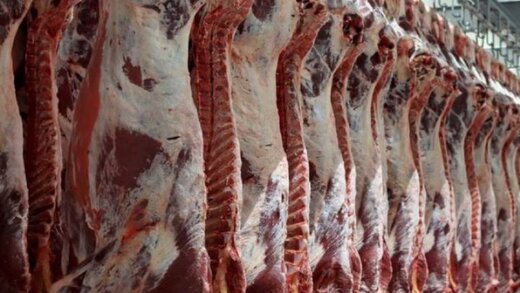 افزایش عرضه گوشت گوسفند در بازار