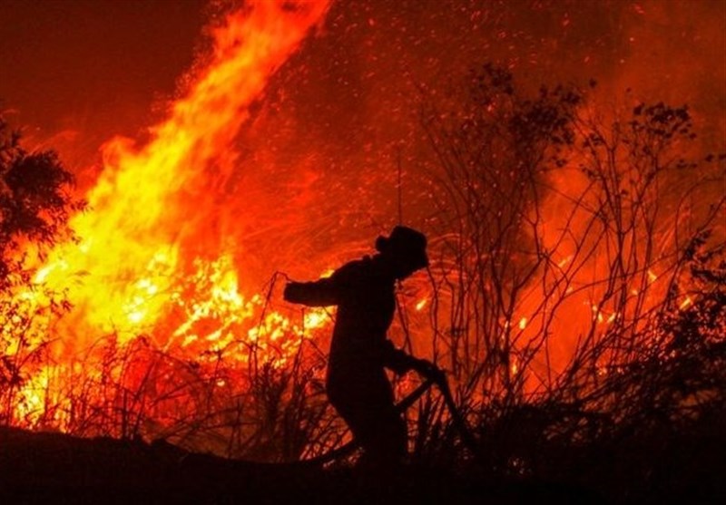 ۲ هزار و ۵۰۰ فقره آتش سوزی جنگل و مرتع اتفاق افتاد
