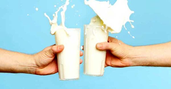 عوارض مصرف شیر 