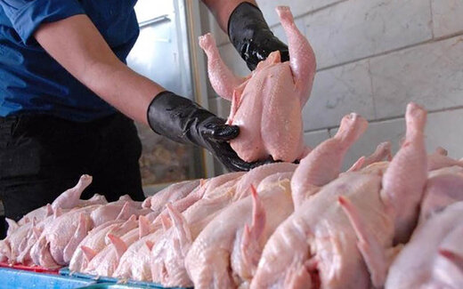 توزیع مرغ در استان تهران