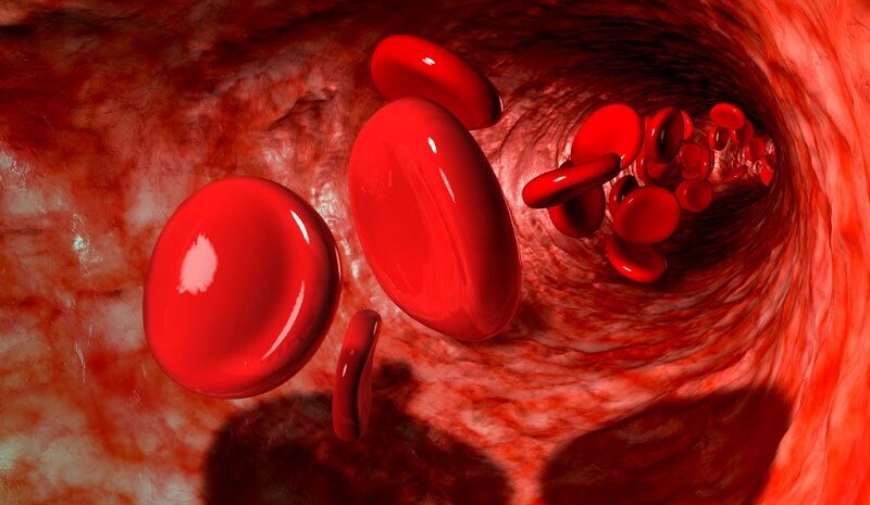 پلاکت‌های خون