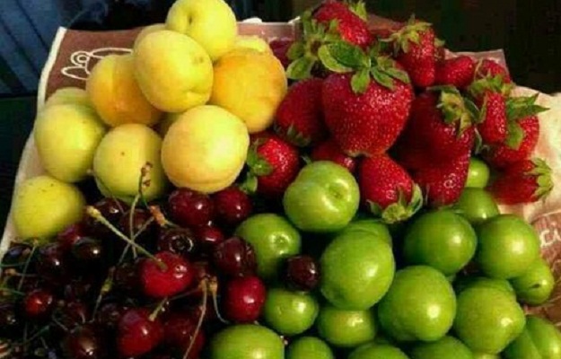 قیمت میوه و پروتئین