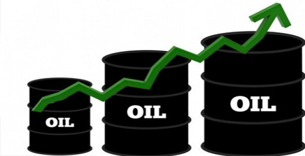افزایش قیمت نفت 