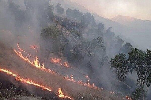 آتش‌سوزی جنگل‌های خائیز 
