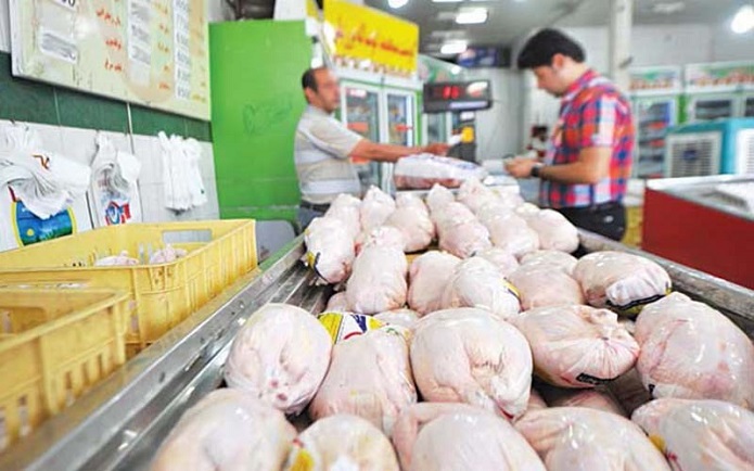 کاهش قیمت مرغ 