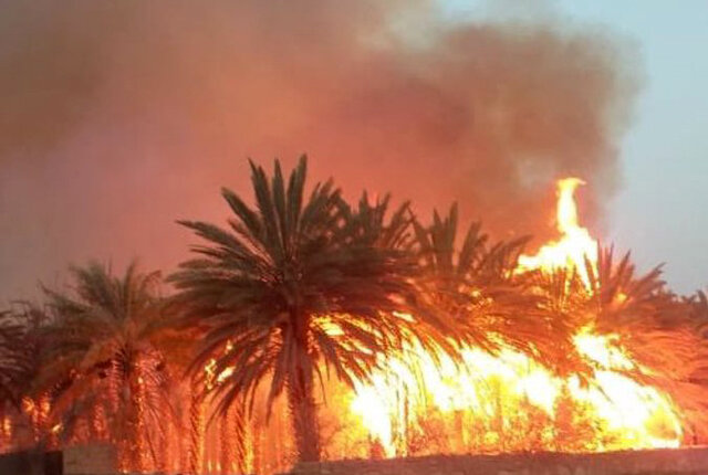 آتش در باغات سعدآباد