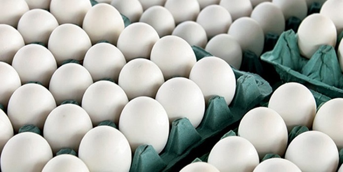 مافیا در صنعت تخم مرغ