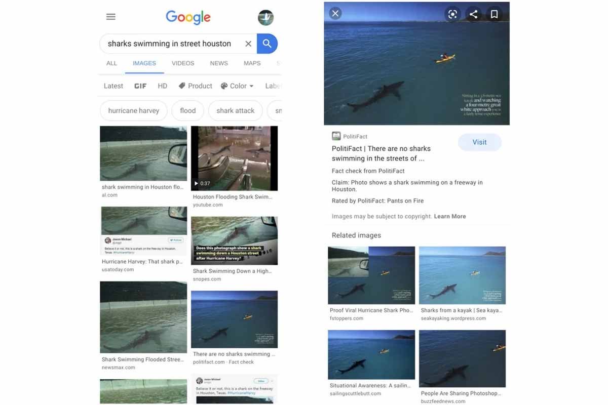 گوگل تصاویر جستجوشده را صحت‌سنجی می‌کند
