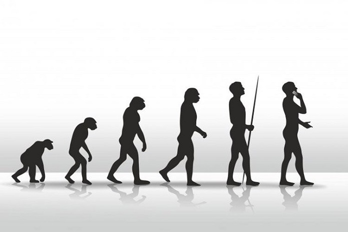 روند تکامل انسان ها