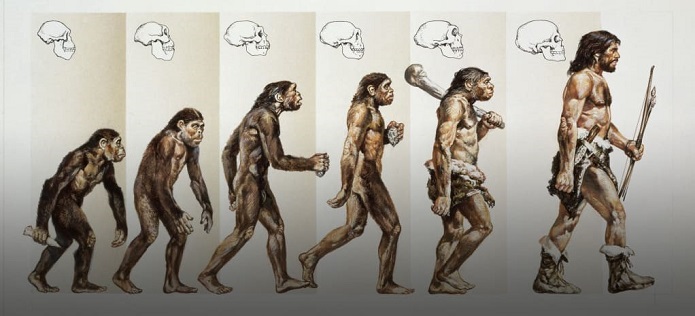 روند تکامل انسان ها