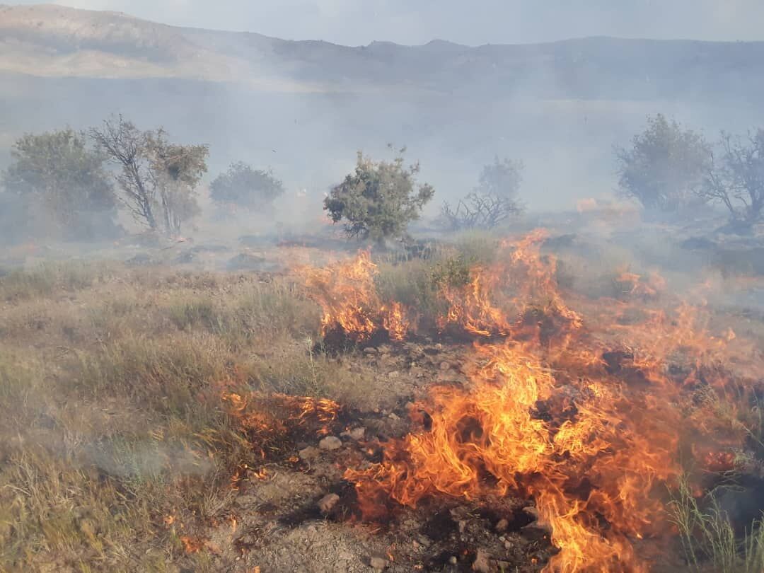  آتش سوزی در جنگل‌های کوهدشت 