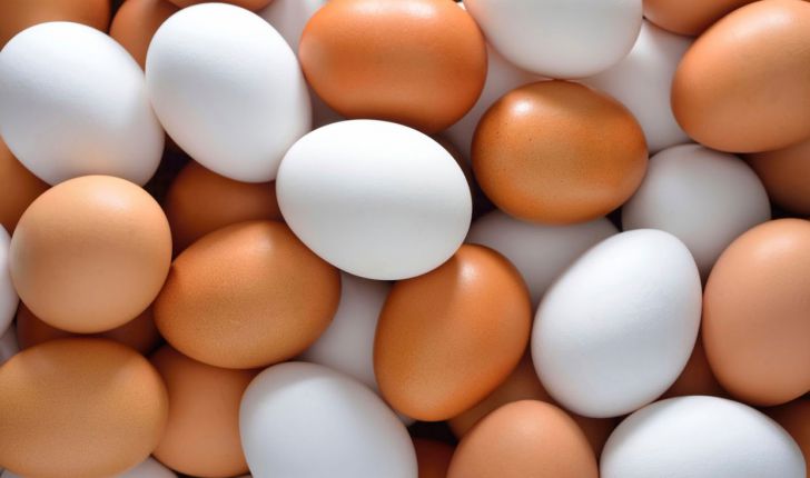 بازار تخم مرغ تعریفی ندارد