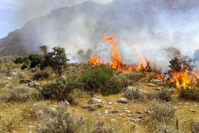 آتش‌سوزی در ارتفاعات لویزان تهران