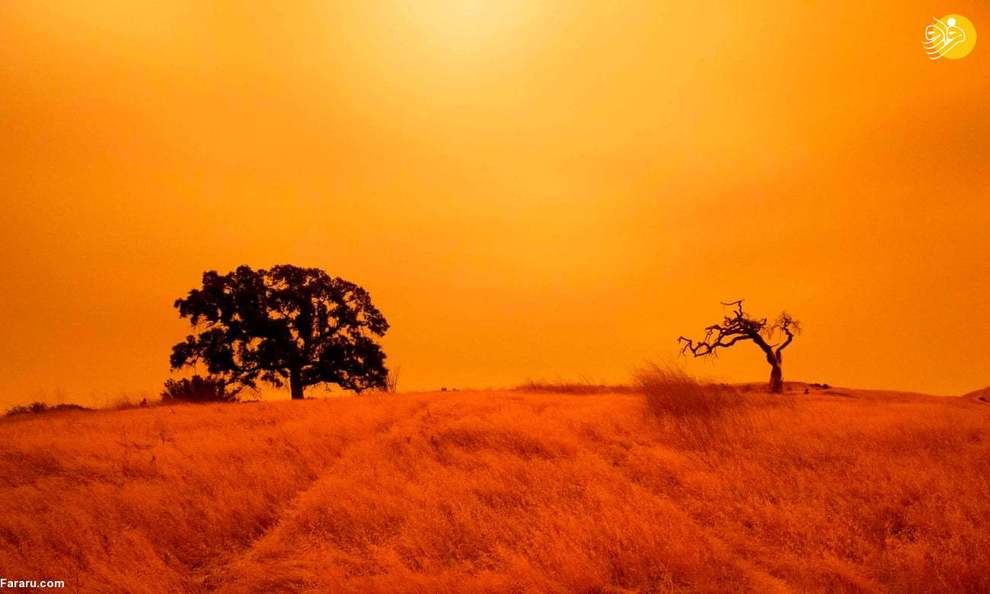 آتش سوزی در جنگل های سانفرانسیسکو