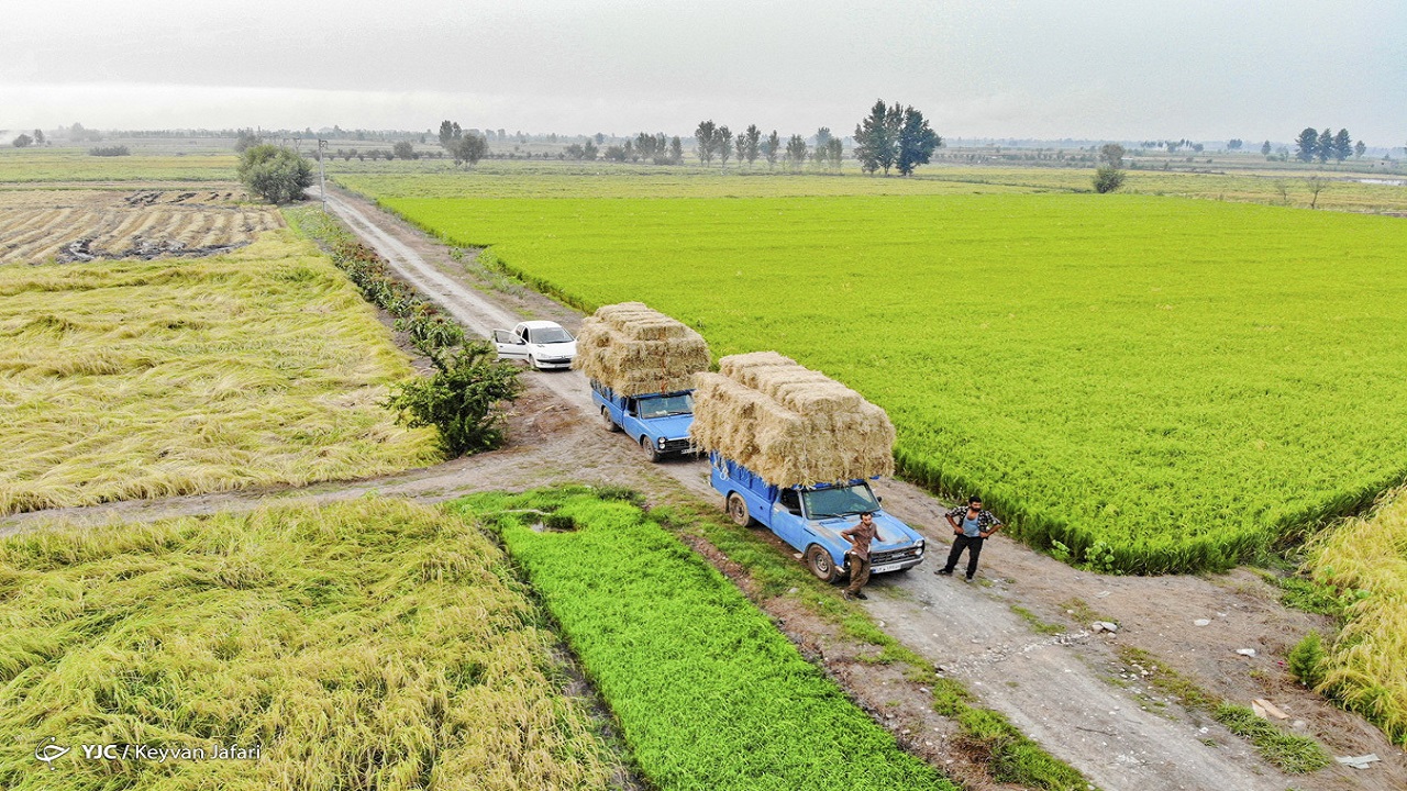  محصولات کشاورزی  