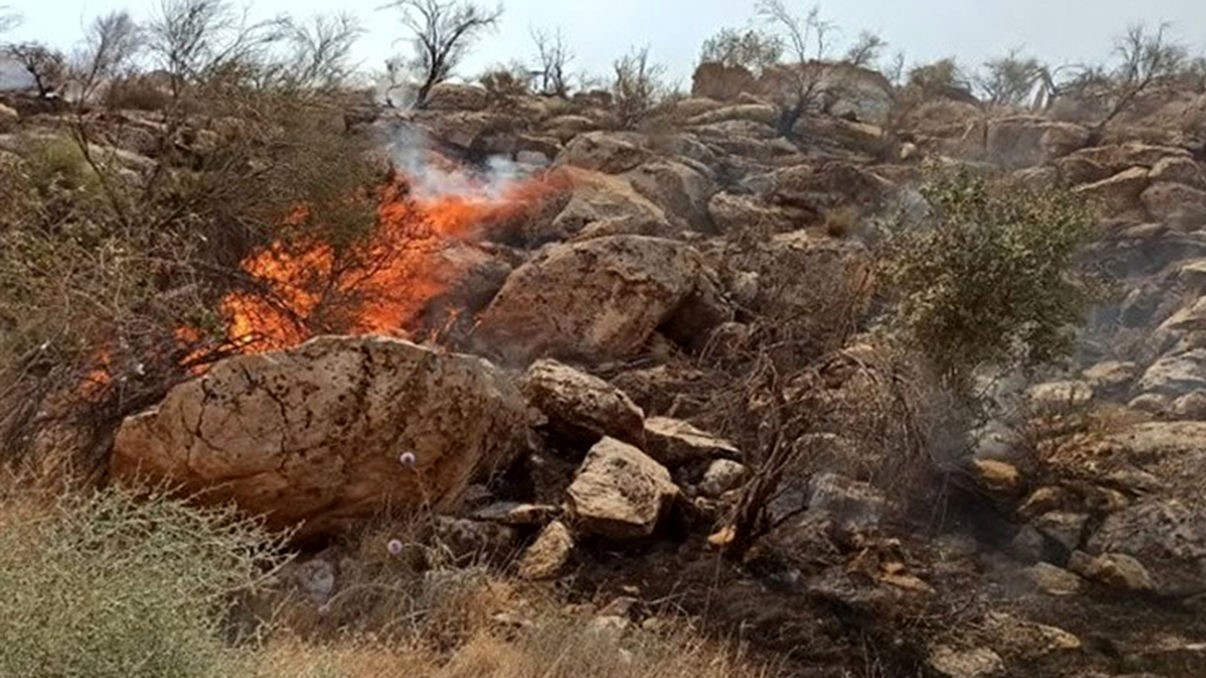 آتش‌سوزی مراتع بادامک پلدختر 