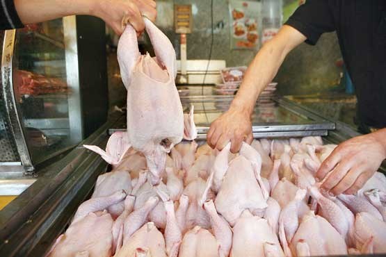 قیمت گوشت مرغ 