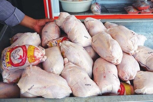نیاز روزانه تهران به ۱۲۰۰ تن مرغ