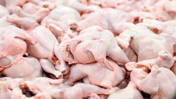 ممنوعیت قطعه‌بندی گوشت مرغ 