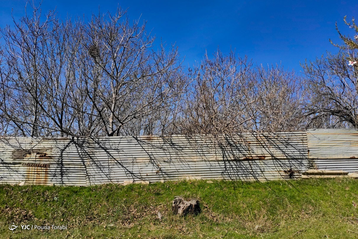 تهران خلوت و بهاری دیدنی تر از هر زمان دیگری است. خواه علت رفتن تهرانی ها به سفرهای نوروزی باشد یا رعایت پروتکل های بهداشتی برای مبتلا نشدن به بیماری کرونا در این روزهای بهاری هرجای تهران که فکرش را بکنی دیدنی است.
