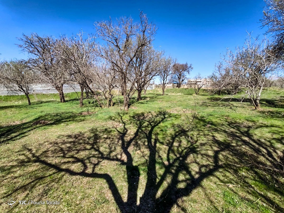 تهران خلوت و بهاری دیدنی تر از هر زمان دیگری است. خواه علت رفتن تهرانی ها به سفرهای نوروزی باشد یا رعایت پروتکل های بهداشتی برای مبتلا نشدن به بیماری کرونا در این روزهای بهاری هرجای تهران که فکرش را بکنی دیدنی است.