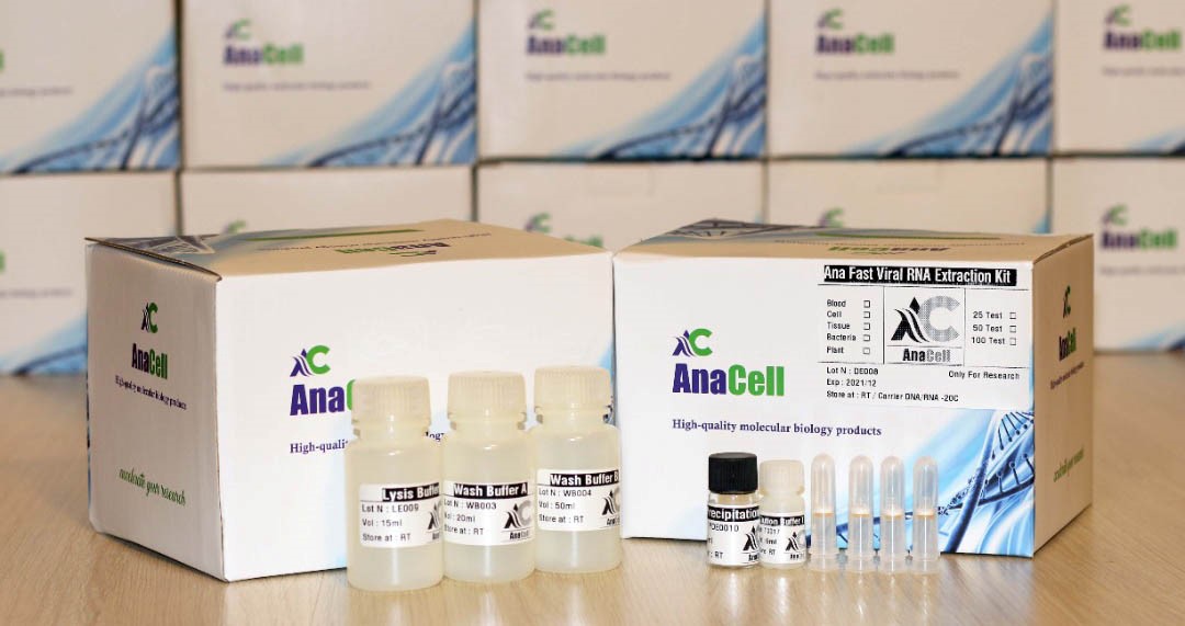 راه اندازی خط تولید محیط کشت سلولی در آنا سلول طب