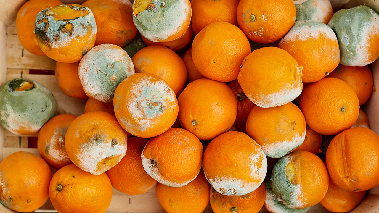 تبدیل پرتقال گندیده به نانوزیست‌حسگر تشخیص سرطان