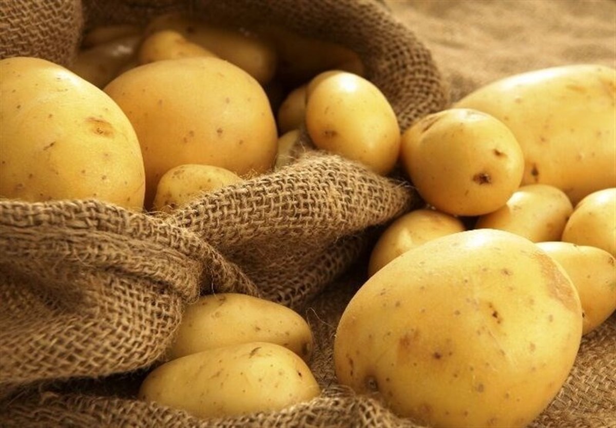 برگشت سیب‌زمینی از ترکمنستان کذب است