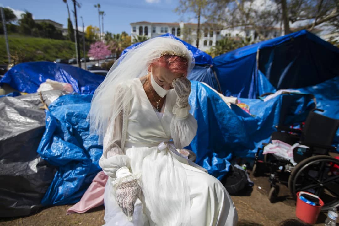 عروس بی‌خانمان، در میان عکس‌های برگزیده سال