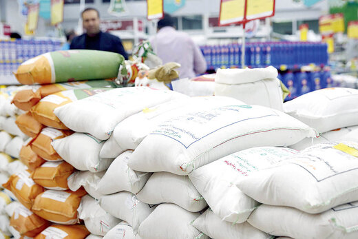 قیمت جدید انواع برنج ایرانی