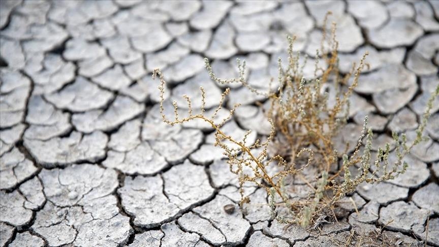 فرسایش خاک ۵ برابر متوسط جهانی است