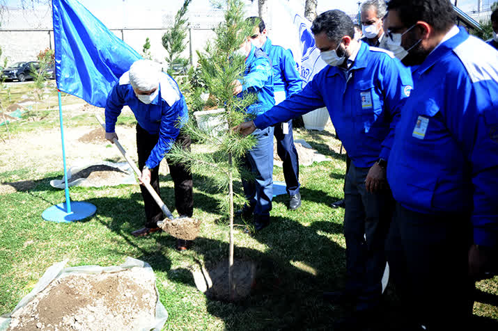 کاشت ۶۰۰ اصله نهال در شرکت ایران خودر