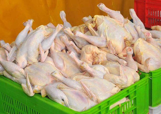 اقدام جدید دولت برای تنظیم بازار مرغ