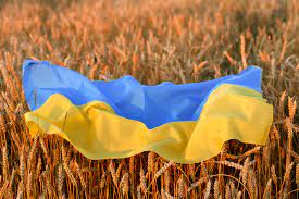 صادرات انواع غلات اوکراین ممنوع شد
