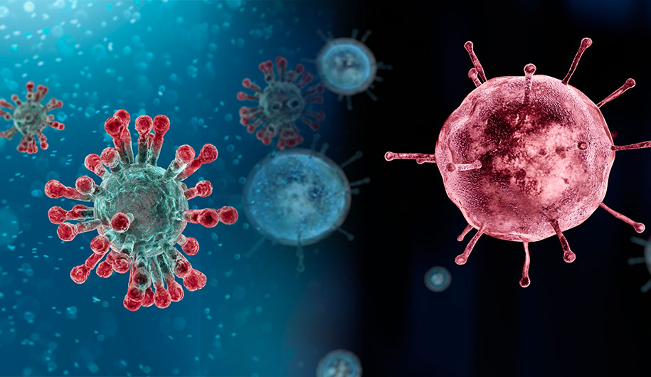 کشفی جدید درباره ویروس کرونا