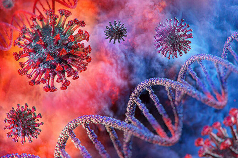 ژن‌های ویروس کرونا با DNA انسان‌ها ادغام می‌شود؟