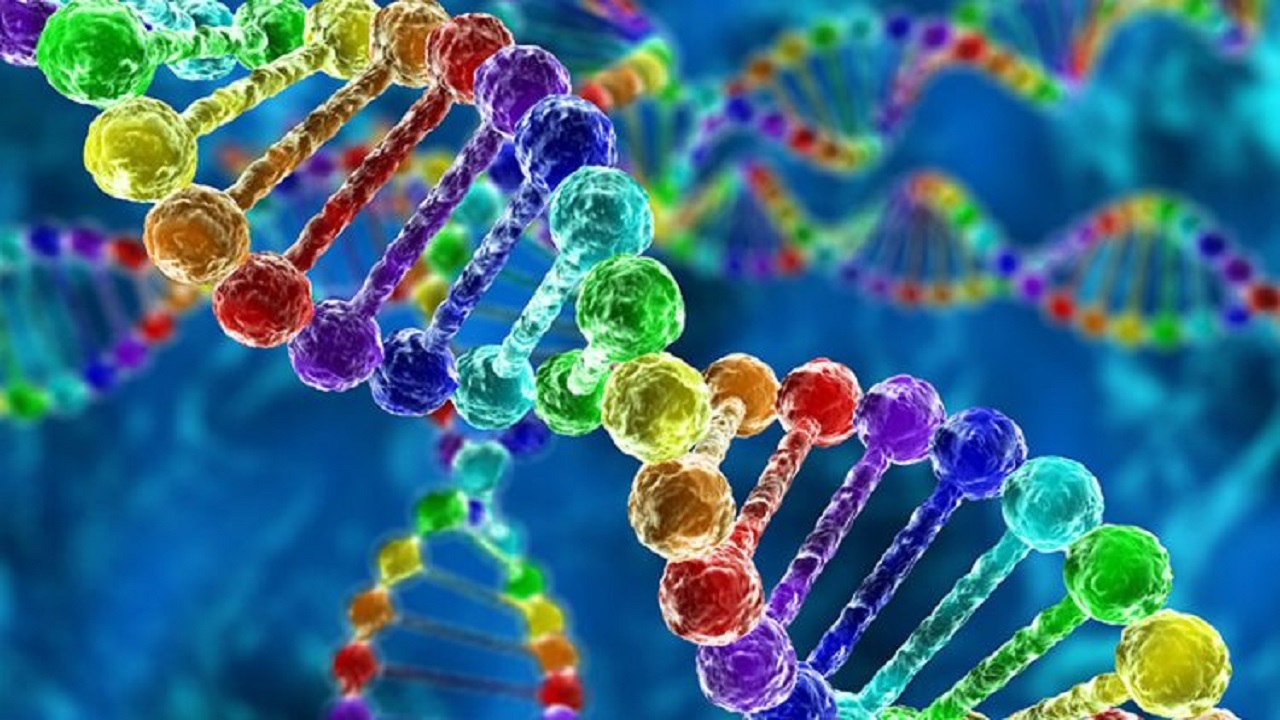با ۱۴ دانستنی جالب در مورد DNA آشنا شوید