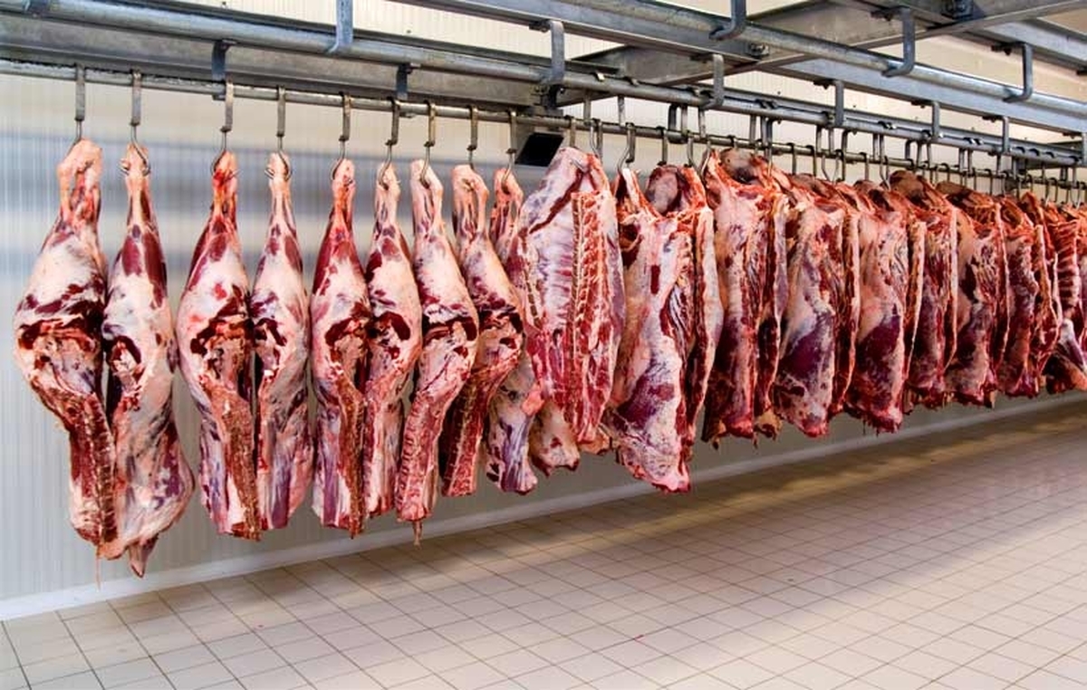 زنگ خطر افزایش قیمت شیر و گوشت