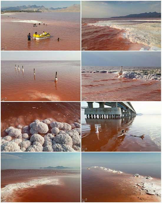 قرمزشدن رنگ آب دریاچه ارومیه 