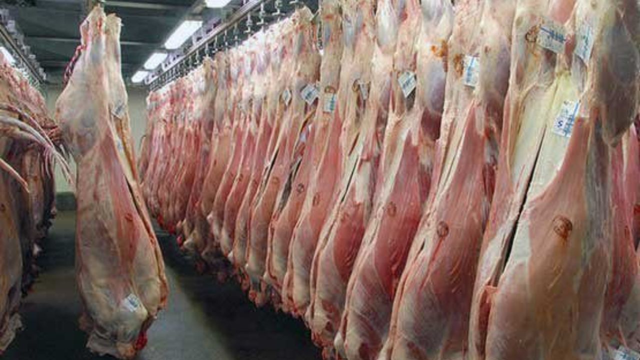 درخواست صادرات گوشت به‌دلیل کاهش تقاضا در داخل