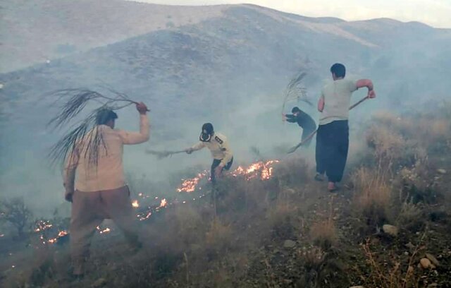 آتش سوزی در تنگ هایقر 