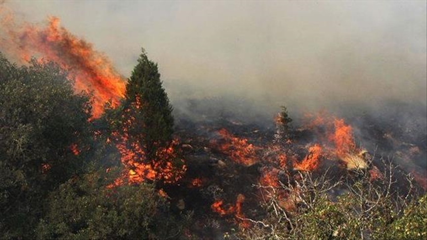 آتش‌سوزی در جنگل‌های