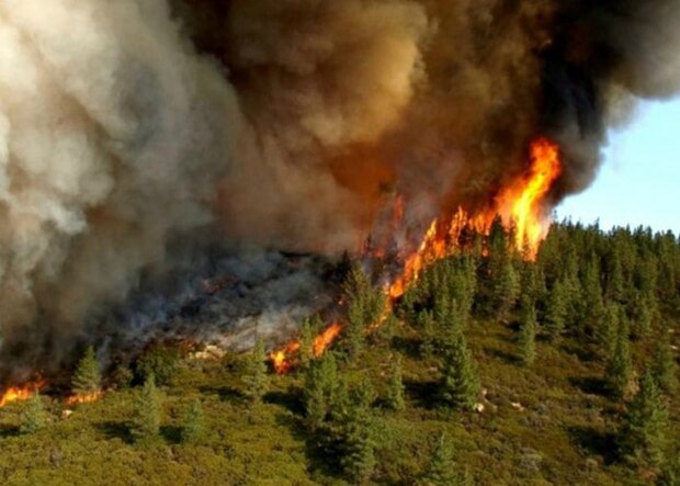 تداوم آتش‌سوزی در جنگل‌های ارسباران