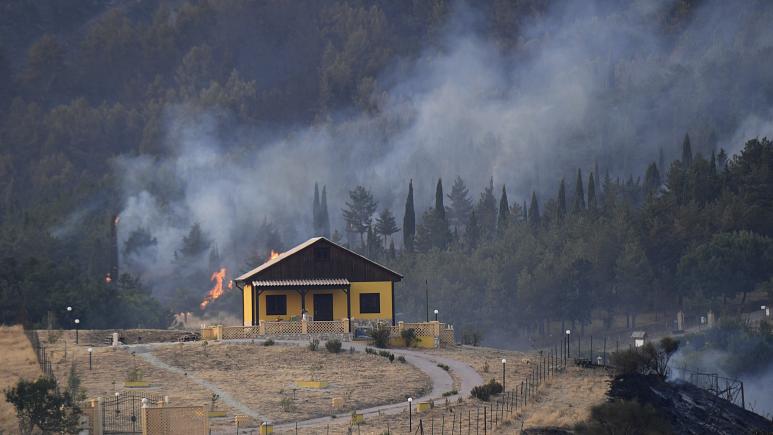 ایتالیا دو دامدار سیسیلی را به اتهام ایجاد آتش‌سوزی عمدی بازداشت کرد