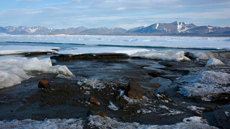 دانشمندان به طور تصادفی در قطب شمال یک جزیره جدید کشف کردند