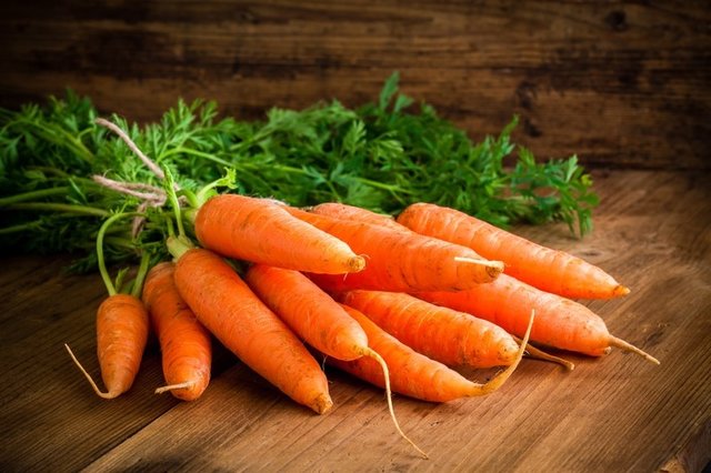 کاهش قیمت هویج