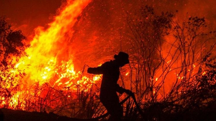 ۹۰ هکتار از عرصه‌های محیط زیستی تهران بر اثر آتش‌سوزی از بین رفت