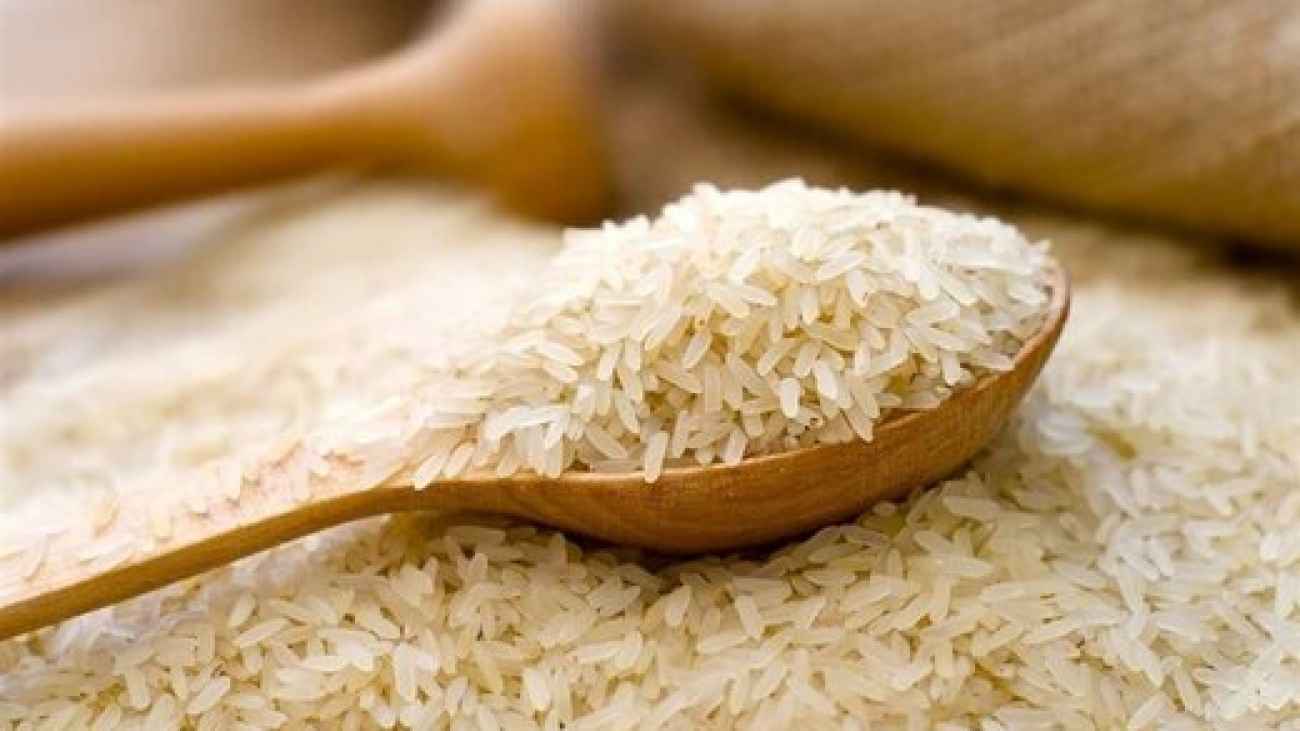 برنج در شمال ارزان و در تهران گران شد