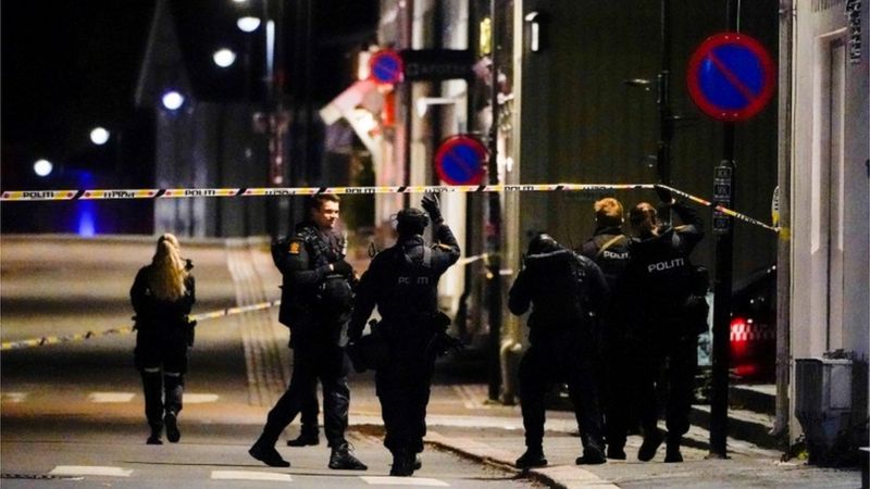 ۵ کشته در حمله مردی با تیر و کمان در نروژ