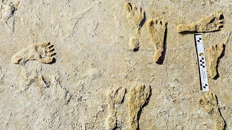 کشف قدیمی‌ترین ردپای انسان در آمریکا متعلق به ۲۳ هزار سال پیش